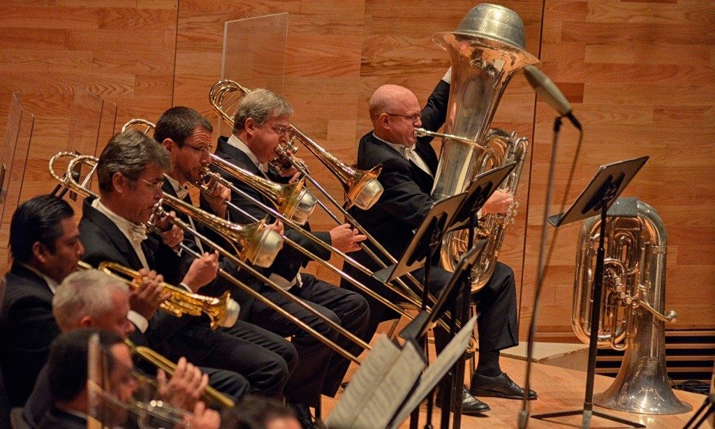 thumbnail_osx-dia-del-musico-23