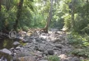 Se seca Río Pixquiac en Tlalnelhuayocan; solo quedan piedras