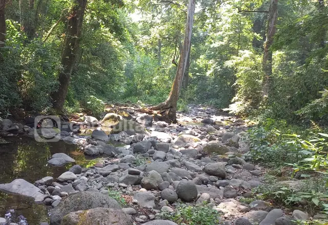 Se seca Río Pixquiac en Tlalnelhuayocan; solo quedan piedras