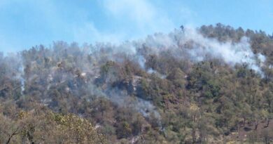 102 incendios forestales se registran en el estado de Veracruz: ocupa el 10º lugar a nivel nacional 102 incendios forestales se registran en el estado de Veracruz: ocupa el 10º lugar a nivel nacional