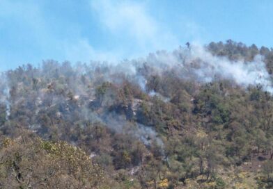 102 incendios forestales se registran en el estado de Veracruz: ocupa el 10º lugar a nivel nacional