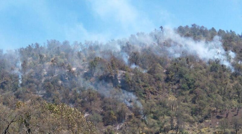 102 incendios forestales se registran en el estado de Veracruz: ocupa el 10º lugar a nivel nacional