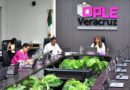 Micrositio “Conóceles” para el Proceso Electoral Local Extraordinario 2024-2025 para la elección de personas juzgadoras registra más de 15,000 visitas