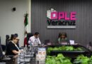 Consejo General del OPLE-Ver verifica principio constitucional de paridad de género horizontal del PRI
