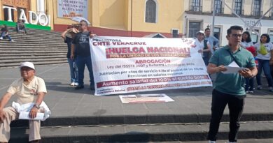 Anuncia la CNTE en Xalapa, huelga nacional a partir del 15 de mayo Anuncia la CNTE en Xalapa, huelga nacional a partir del 15 de mayo