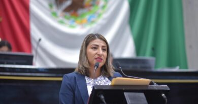 Busca la diputada Hilda Nava Seseña ampliar garantías para personas mayores de Veracruz Busca la diputada Hilda Nava Seseña ampliar garantías para personas mayores de Veracruz