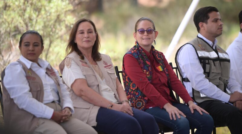 Participa Congreso de Veracruz en conmemoración del Día Mundial del Medio Ambiente