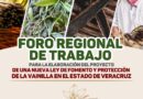 Anuncia diputada foros regionales para elaborar nueva Ley de la Vainilla