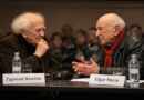 Morin y Bauman