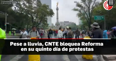 CNTE anuncia protestas en el AICM y en el Estadio Azteca en el Mundial