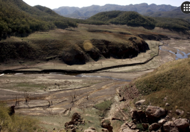 El agua de Chihuahua en poder de pocas empresas, los LeBarón y menonitas