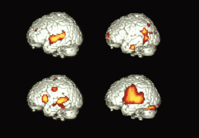 ¿Cómo puede un solo cerebro hablar dos idiomas? 