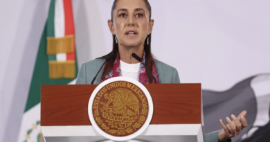Tendrá la CNTE diálogo sólo con SEP y SG, advierte Sheinbaum