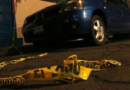 Relatoría de la CIDH condena asesinato del periodista Luis Ángel López Valdez, en Veracruz