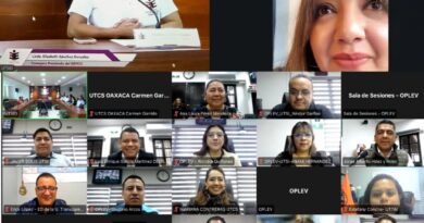 OPLE Veracruz comparte experiencia sobre Proceso Electoral Local Extraordinario Judicial con Instituto Estatal Electoral y de Participación Ciudadana de Oaxaca