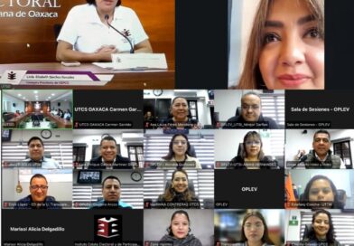 OPLE Veracruz comparte experiencia sobre Proceso Electoral Local Extraordinario Judicial con Instituto Estatal Electoral y de Participación Ciudadana de Oaxaca
