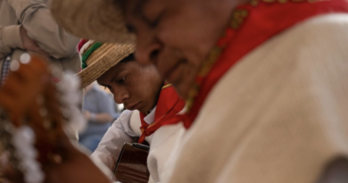 Nación y pueblos indígenas