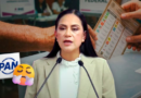 Ariadna Montiel critica propuesta del PAN sobre voto por familia