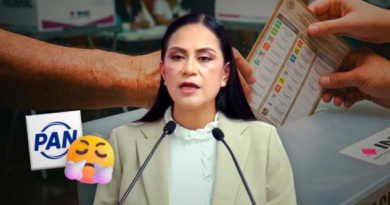 Ariadna Montiel critica propuesta del PAN sobre voto por familia