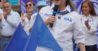 CEN del PAN declara válida elección de Ana Cristina Ledezma como próxima presidente del CDE en Veracruz 