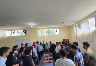 Capacitación para tecnificar la Ganadería Veracruzana.
