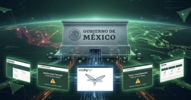 Falla dominio principal del Gobierno de México en internet; se desconocen las causas