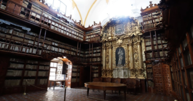 Libros y bibliotecas / Elena Poniatowska