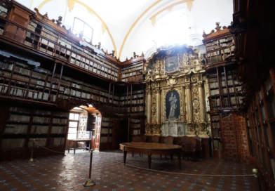 Libros y bibliotecas / Elena Poniatowska
