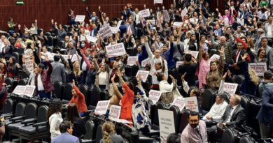 Diputados avalan en lo particular reforma contra doble nacionalidad