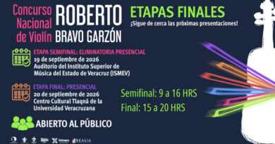 Concurso Nacional de Violín ROBERTO BRAVO GARZÓN