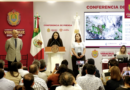 ▶️ Conferencia de prensa | Lunes 5 de octubre de 2026 | Rocío Nahle