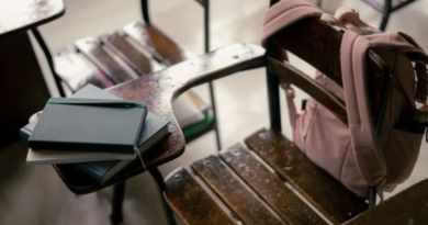 ¿Habrá megapuente escolar por el Día de Muertos?