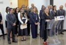 Guadalupe Taddei acusa a partidos políticos de intentar desestabilizar al INE​