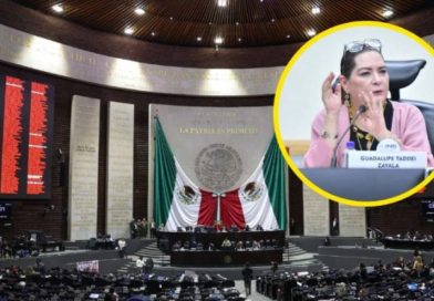 Cámara de Diputados recibe renuncia de Guadalupe Taddei