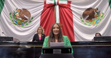 Diputada Roxana Barragán respalda sanciones contra la cohabitación forzada de menores