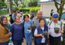 Realizan Jornada de Reforestación por desaparecidos en el Cerro de la Galaxia