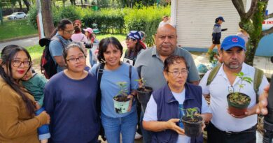 Realizan Jornada de Reforestación por desaparecidos en el Cerro de la Galaxia